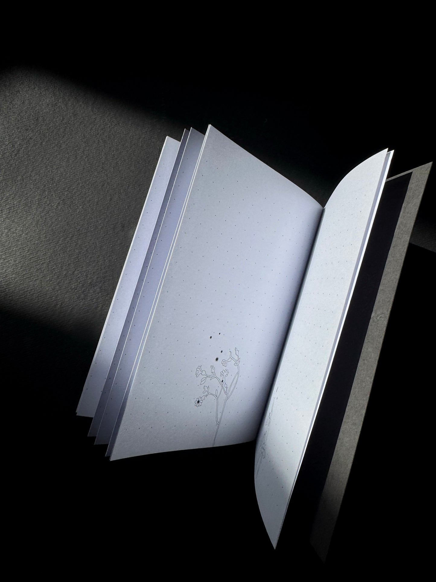 وَرَق مَكبس