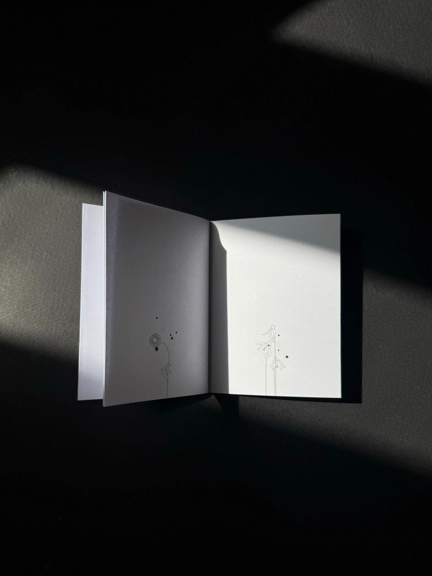 وَرَق مَكبس